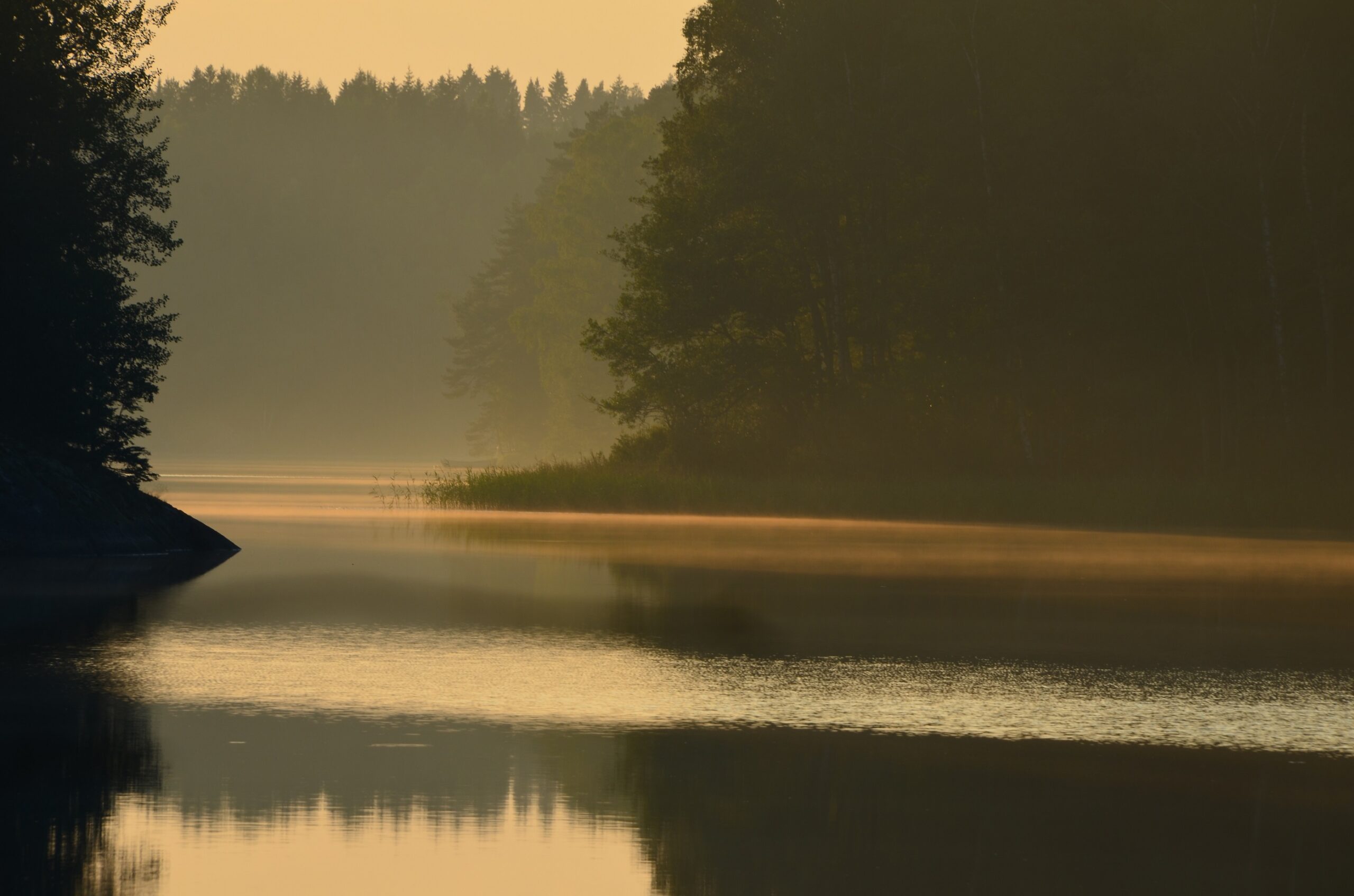 Sesja nad jeziorem Langen — zdjęcie 1